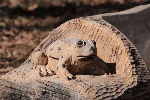 Ždírecký Zoo - Image 1