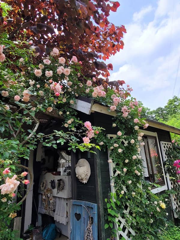 Le Jardin Secret • Ms Mariko Gonda Residence - Image 1
