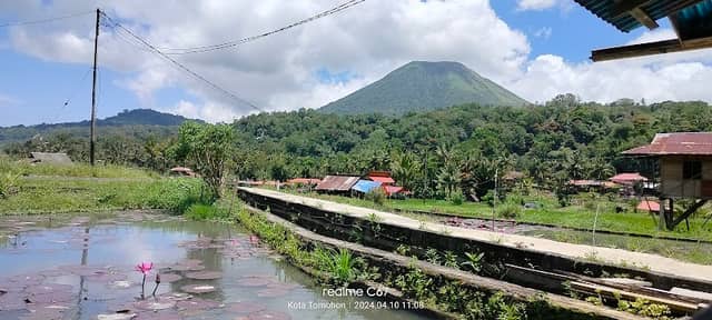 Talaga Lotus woloan tomohon - Image 1