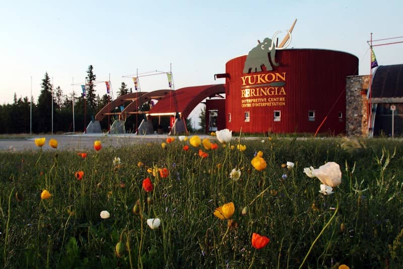 Yukon Beringia Interpretive Centre - Image 1