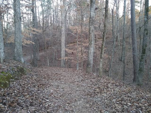 Cahaba Lily Park - Image 3