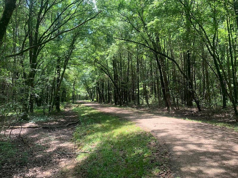 Bona Dea Trails and Sanctuary - Image 1