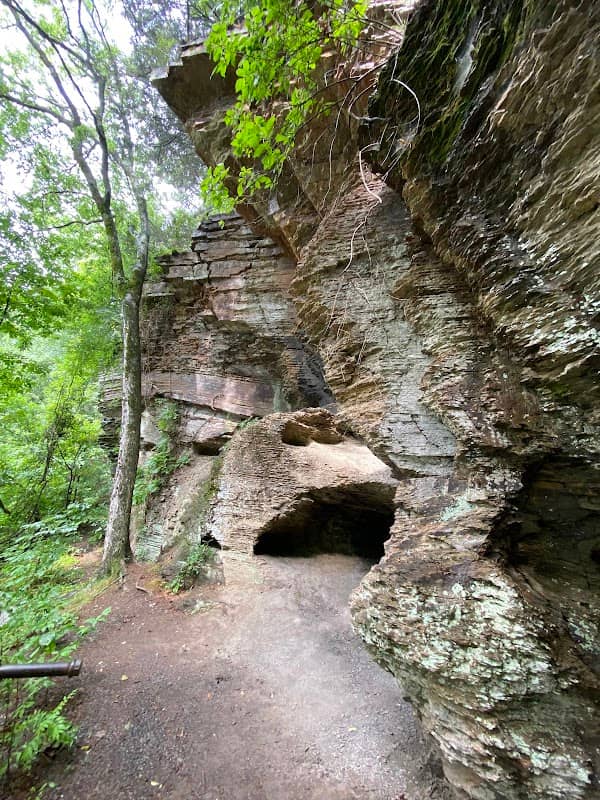 Bona Dea Trails and Sanctuary - Image 2