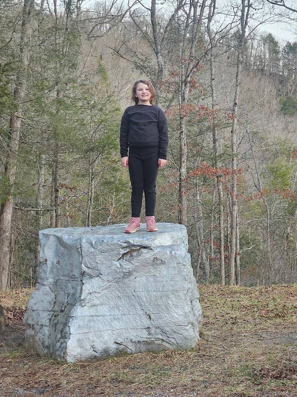 Silver Rock - Image 2