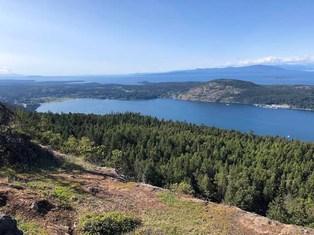 Lantzville Lookout Trailhead - Image 1