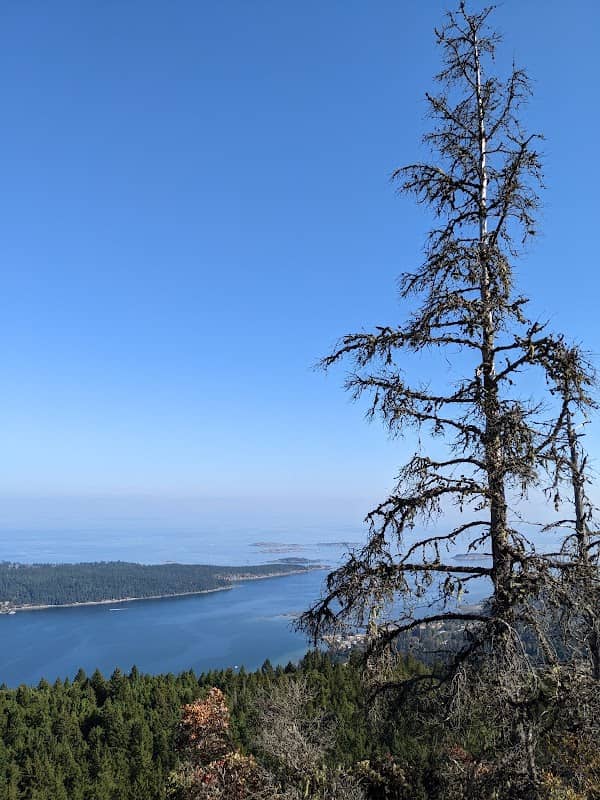 Lantzville Lookout Trailhead - Image 2