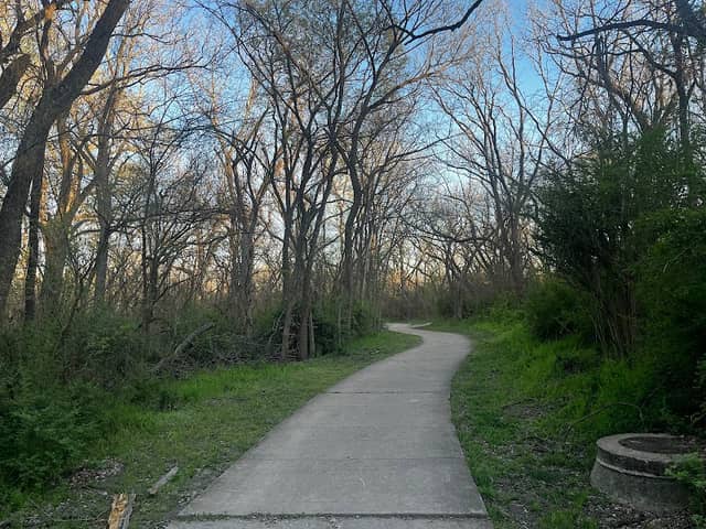 The Trail at the Woods - Image 1