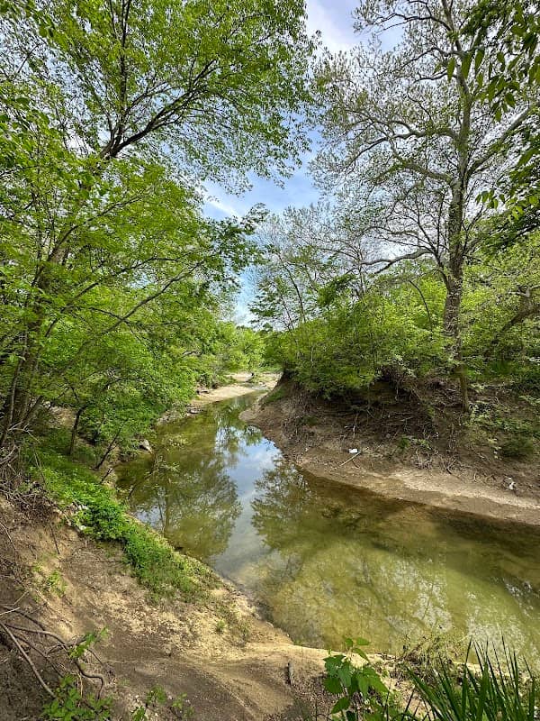 The Trail at the Woods - Image 2