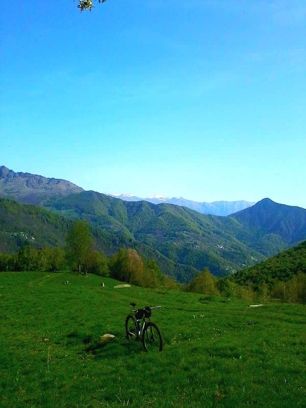 Cervelluzzi - Image 1