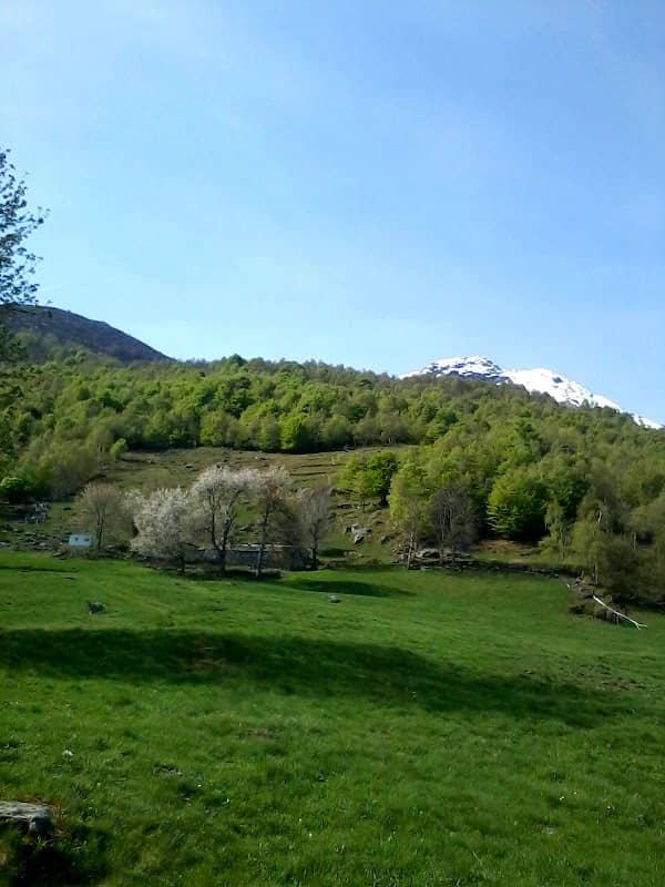 Cervelluzzi - Image 2