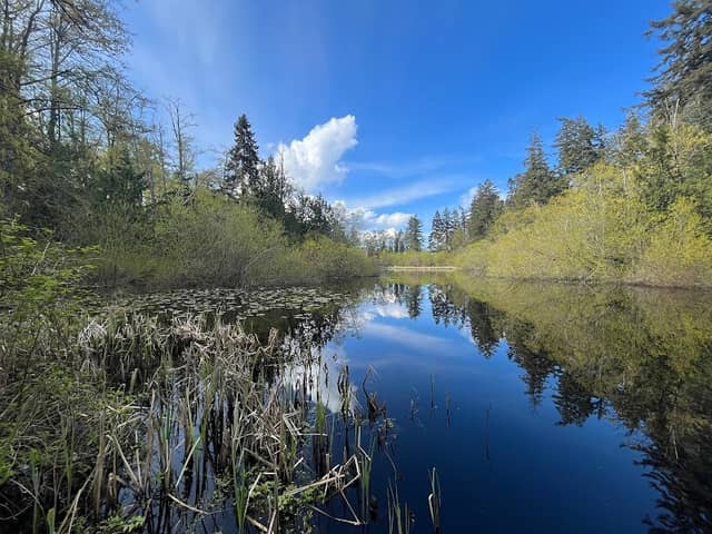 Nute's Pond Park - Image 2