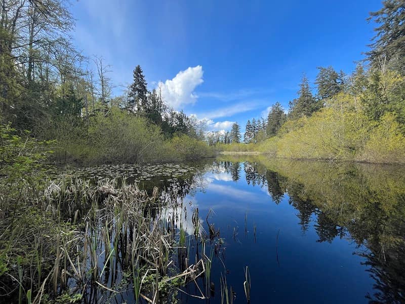 Nute's Pond Park - Image 2