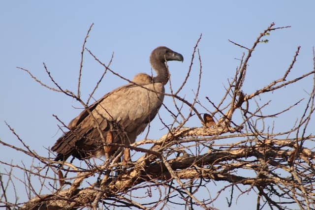 Klipfontein Bird Sanctuary - Image 1