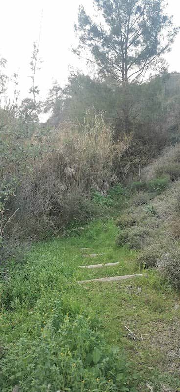 Μονοπάτι της φύσης στην κοινότητα Σια - Image 2