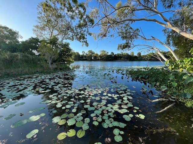 Lotus Garden Jetty - Image 1