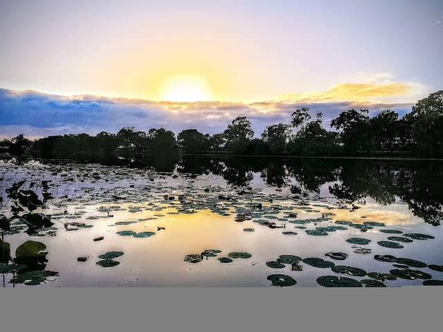 Lotus Garden Jetty - Image 2