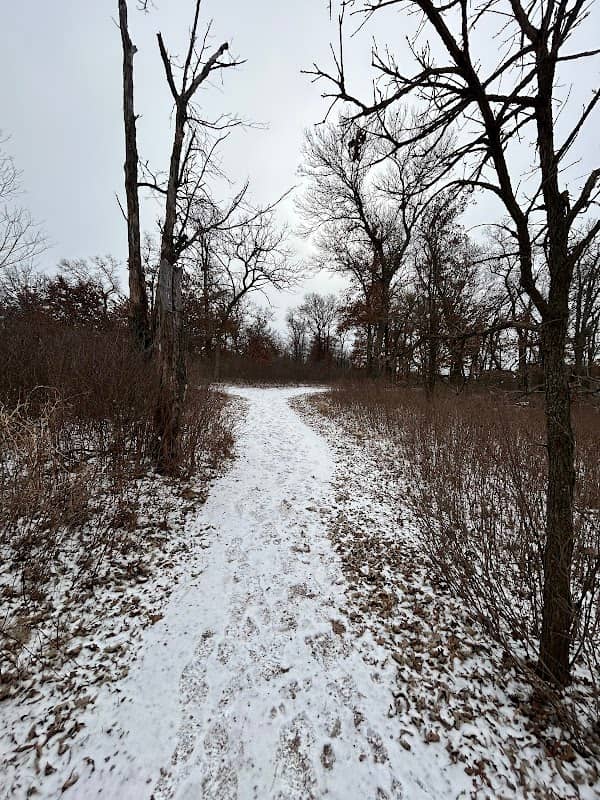Black Bear Loop Trail - Image 1