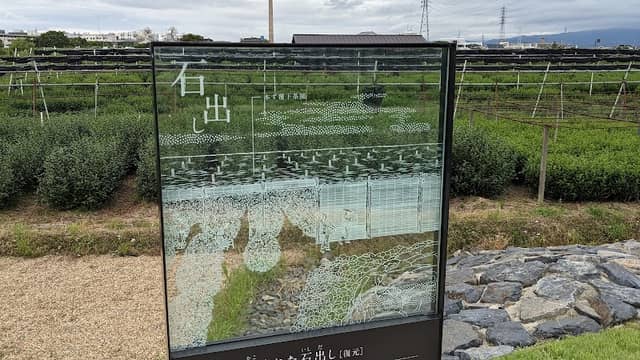 Stone Groyne (Ishidashi) Surrounded by Tea Plantation - Image 1