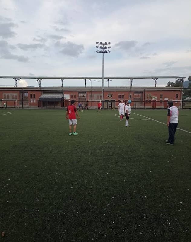 Tribunas - Image 1