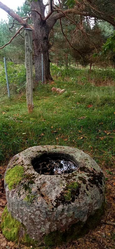 Ulmales Piņņu bļodakmens - Image 1