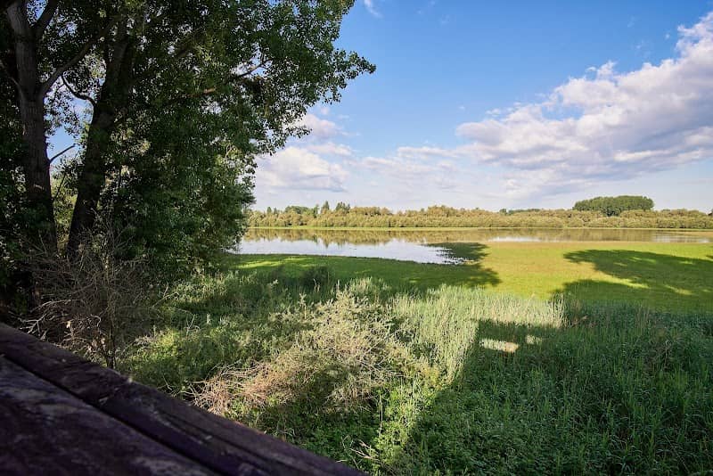 Welsch Loch (Lampertheimer Altrhein) - Image 1