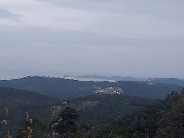 Point of view - Image 3