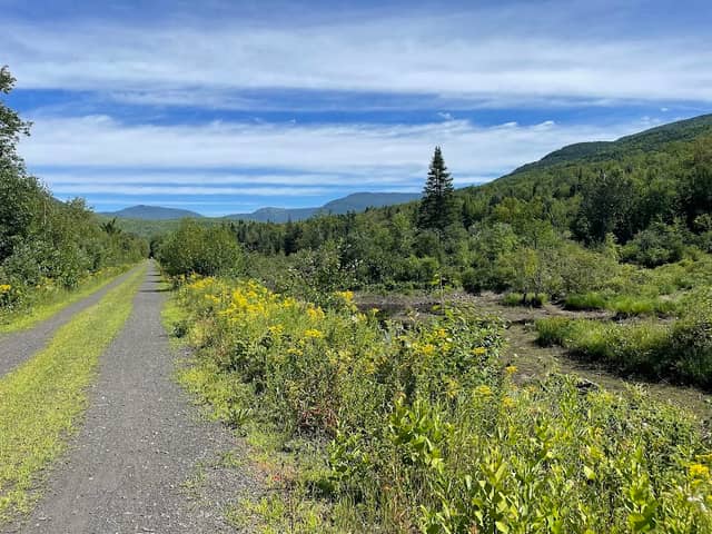 Presidential Range Rail Trail - Image 1