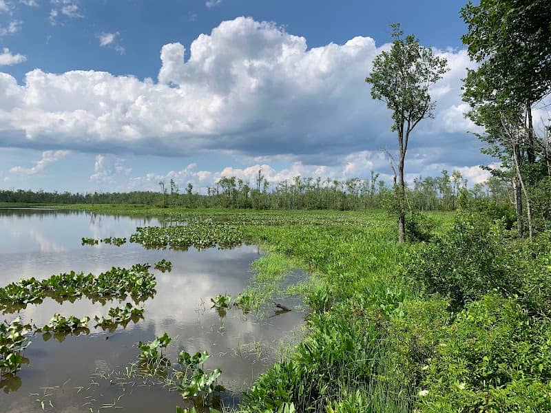 Vandell Preserve At Cumberland Marsh - Image 1