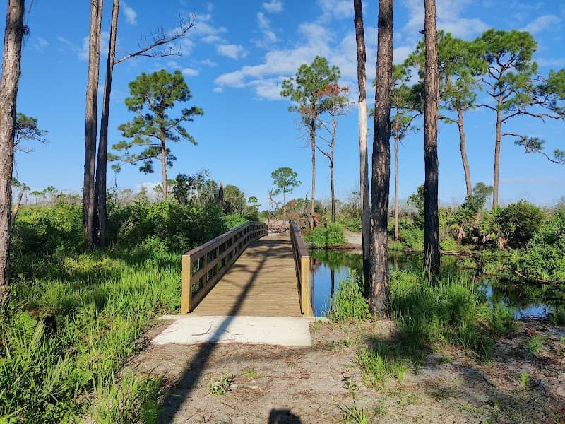 Lake Wales Ridge Wildlife and Environmental Area - Lake Placid Scrub - Image 2