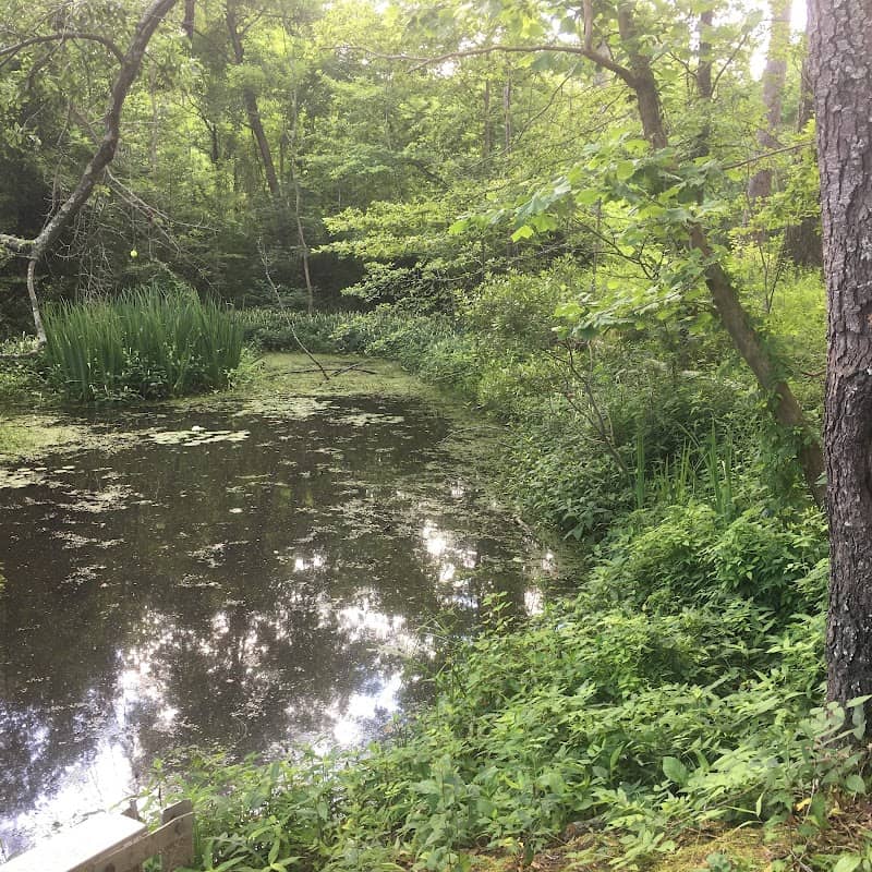 Reservoir Botanical Gardens - Image 1