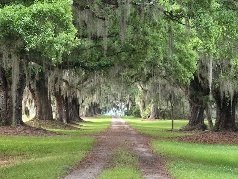 Forrest Gump iconic gate - Image 1