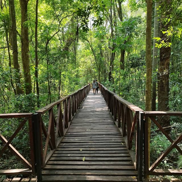 Municipal Natural Park - Image 1