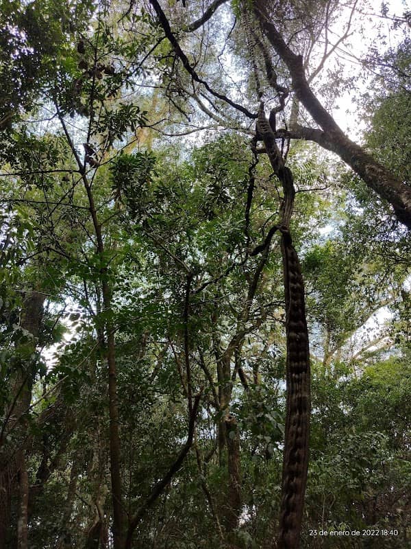 Municipal Natural Park - Image 2