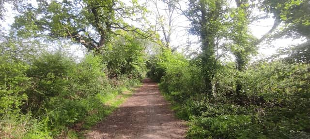 Windmill Meadows - Image 3