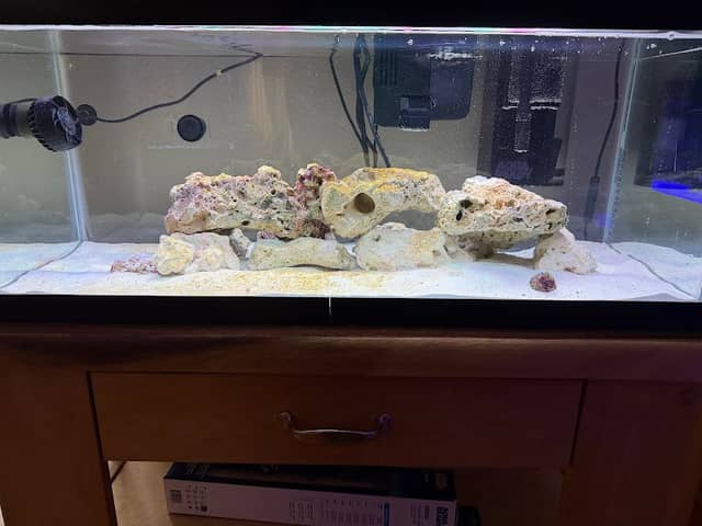 Davy Jones Aquarium Services - Image 1