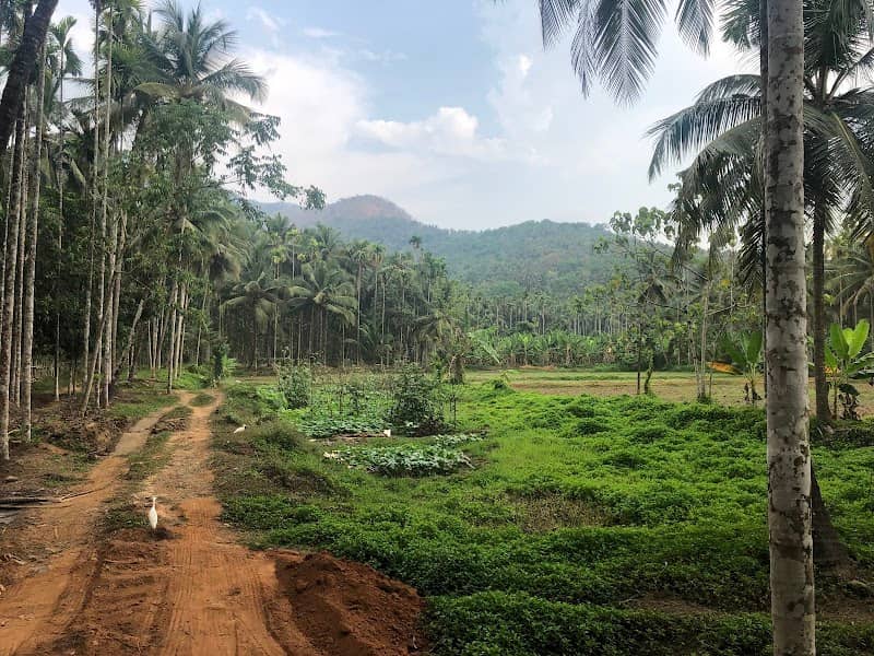 Cherukkad - Image 1