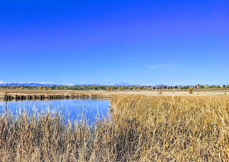 Broomfield Commons Open Space - Image 1