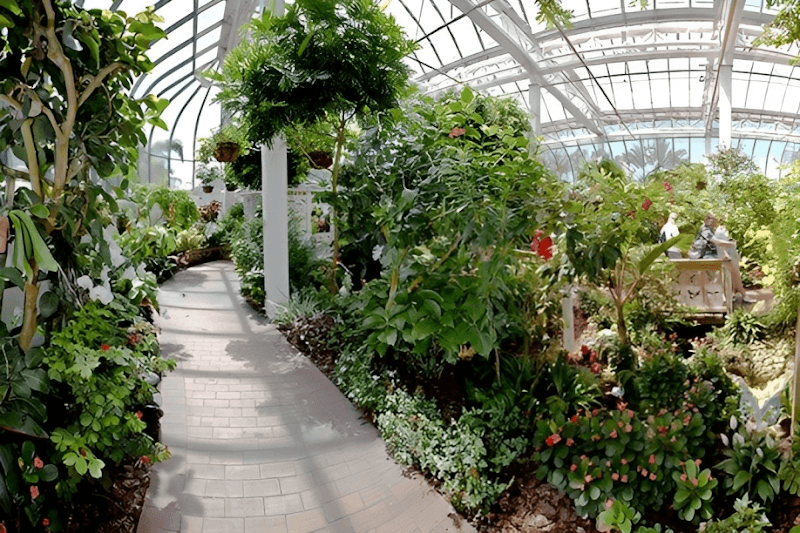 The Key West Butterfly and Nature Conservatory - Image 3
