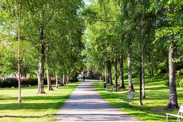 Salveseninpuisto - Image 1