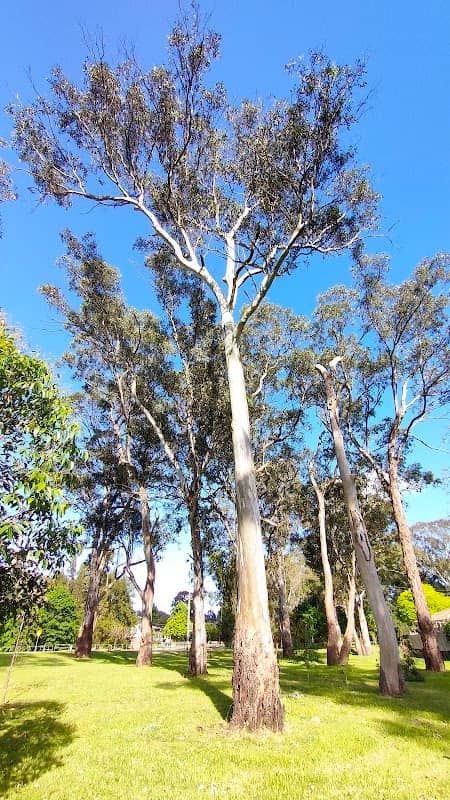 Big Gums Reserve - Image 1