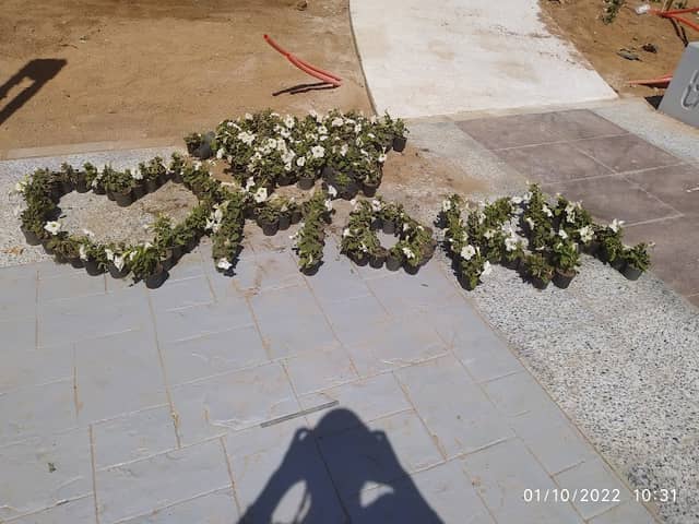 النافورة - Image 2