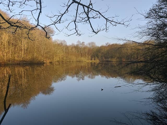 The Bunk - Image 1