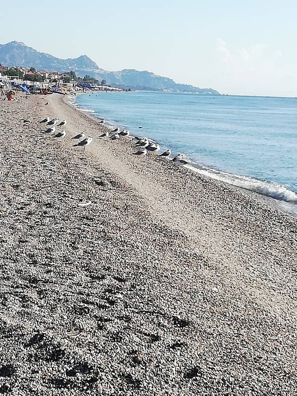 Spiaggia di Mascali - Image 1