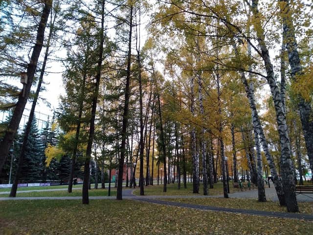Skver Molodozhnyy - Image 1