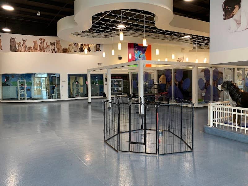 Palm Valley Animal Society - Laurie P. Andrews Center - Image 2