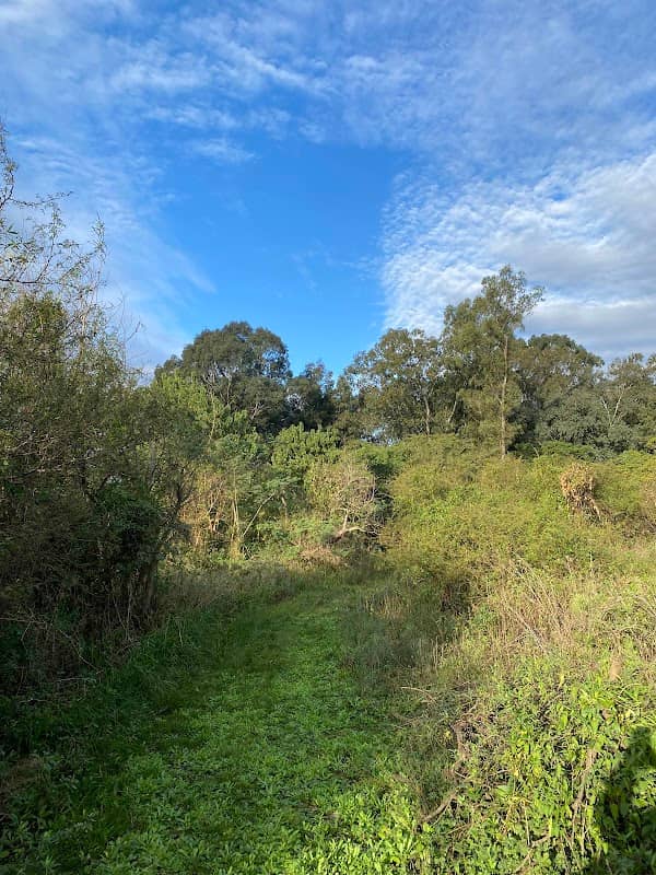 Nature Reserve Villa Gobernador Galvez - Image 1