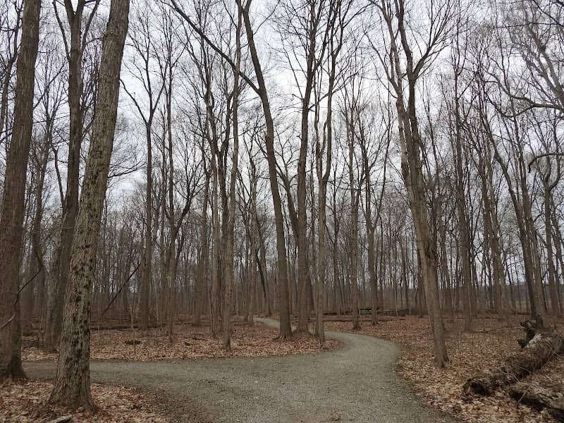 Lost Creek Reserve & Knoop Agricultural Heritage Center - Image 1