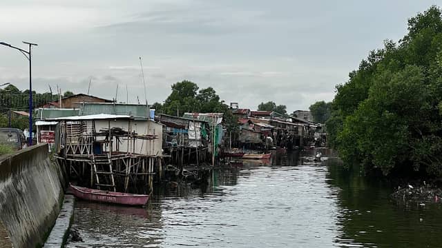 Pugad Baboy Mangrove Forest and Eco-Tourism Park - Image 1