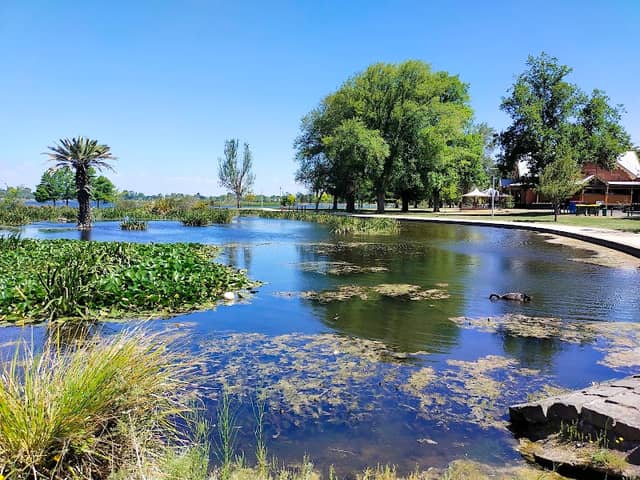 Lake Wendouree Fairyland - Image 2