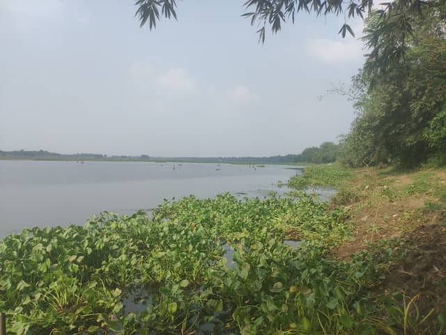 Fising point - Image 2
